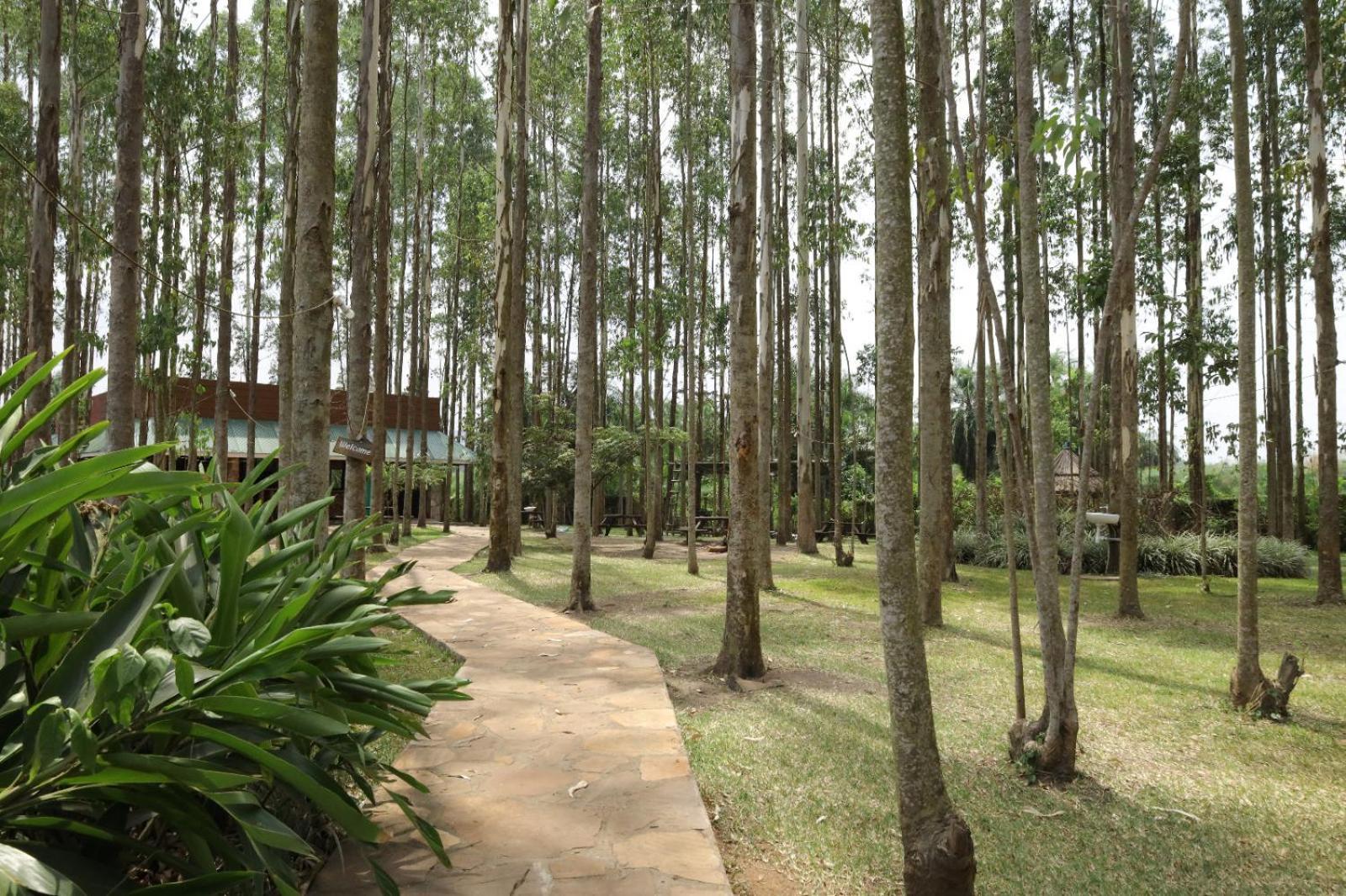 Kabalega Resort - Masindi Екстер'єр фото